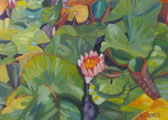 Waterlilies - Vicki Crowley