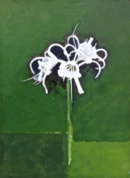 Spider Lily I
